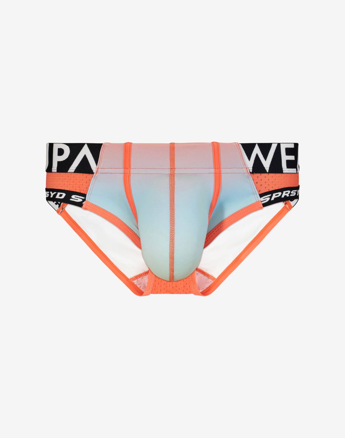 SPR Max Gradient Brief Underwear - Rainbow
