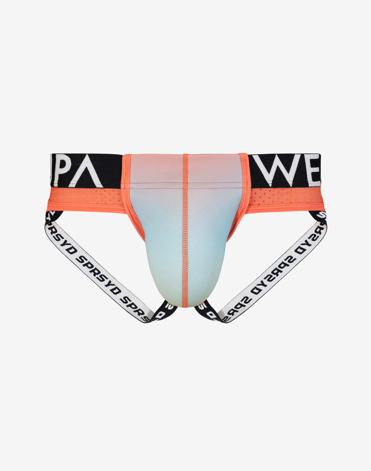 SPR Max Gradient Jockstrap Underwear - Rainbow